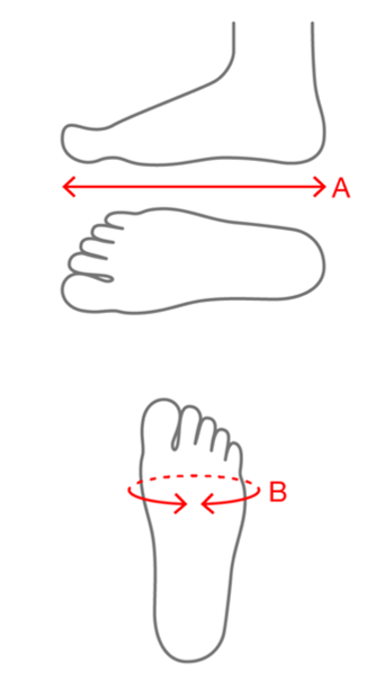 使用者新增的影像