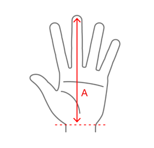 使用者新增的影像